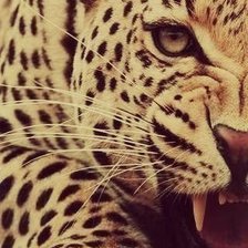 Схема вышивки «кошка»