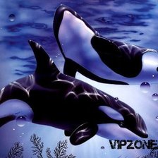 Схема вышивки «касатки»