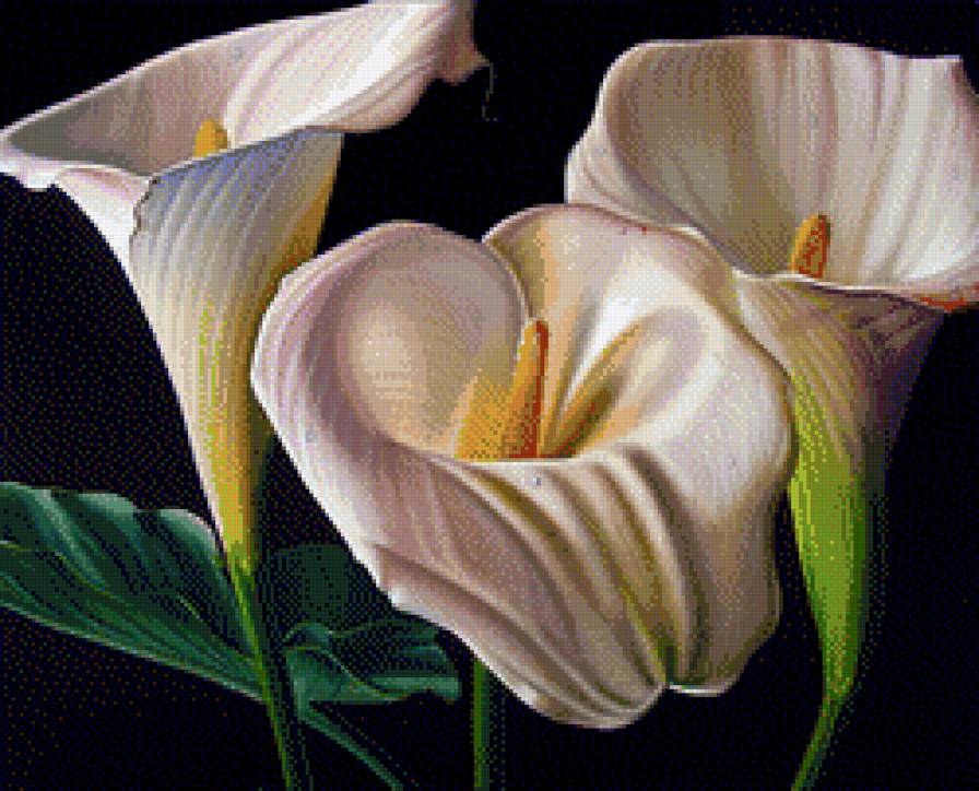 12 - предпросмотр