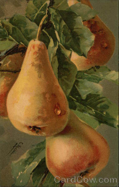 Three Pears on a Branch - оригинал