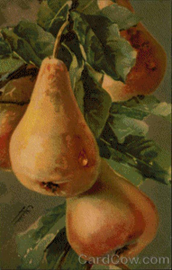 Three Pears on a Branch - предпросмотр