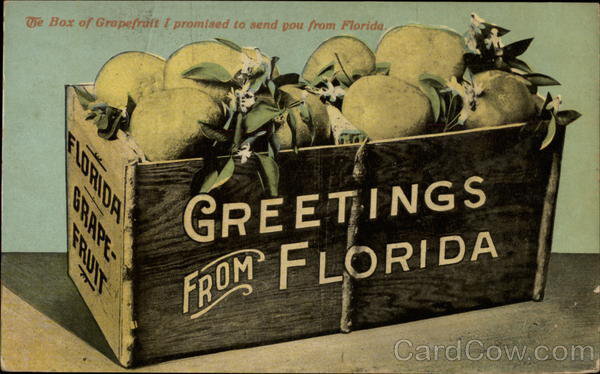 The Box of Grapefruit I promised to Send You From Florida - оригинал