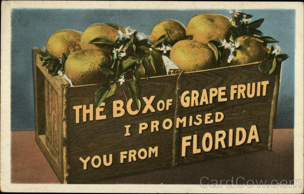 Box of Grapefruit from Florida - оригинал