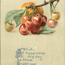 Branch with golden and red apples
