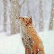 Схема вышивки «лиса»