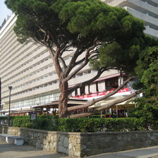 Схема вышивки «парк»