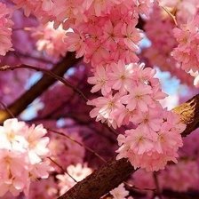 Схема вышивки «Весна»