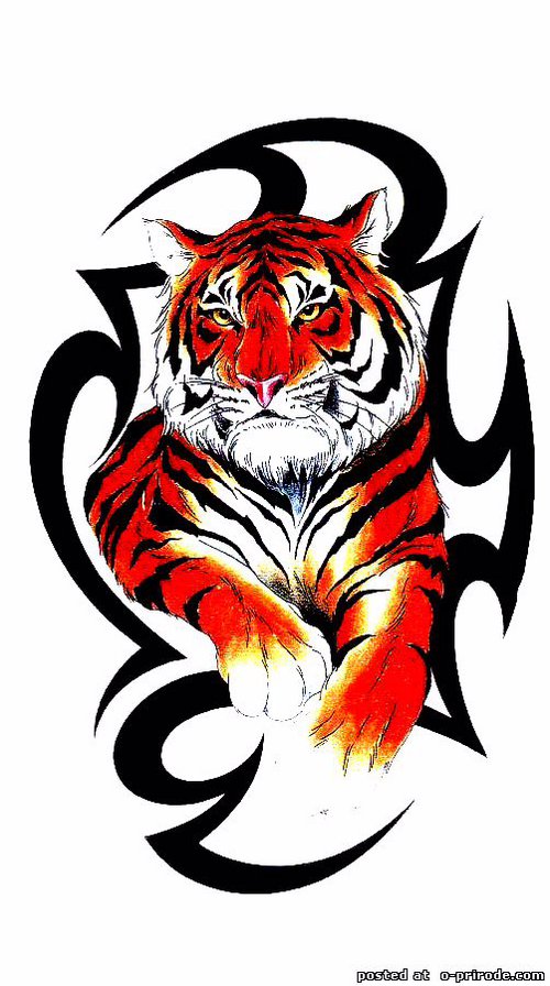 Тигр2 - оригинал