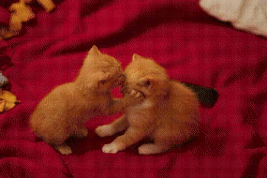 серия "кошки" - котята - предпросмотр