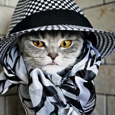 Схема вышивки «серия "кошки"»