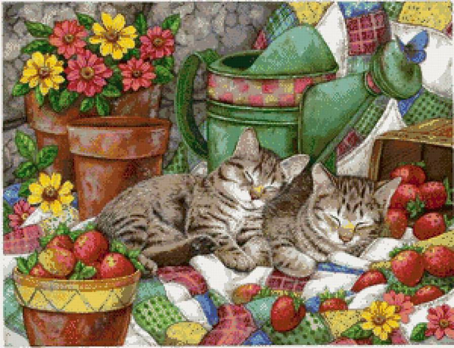 серия "кошки" - котята - предпросмотр