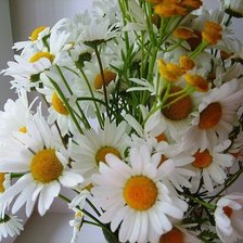 Схема вышивки «ромашки»