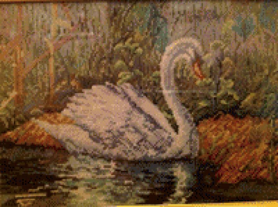 лебедь - лебеди - предпросмотр