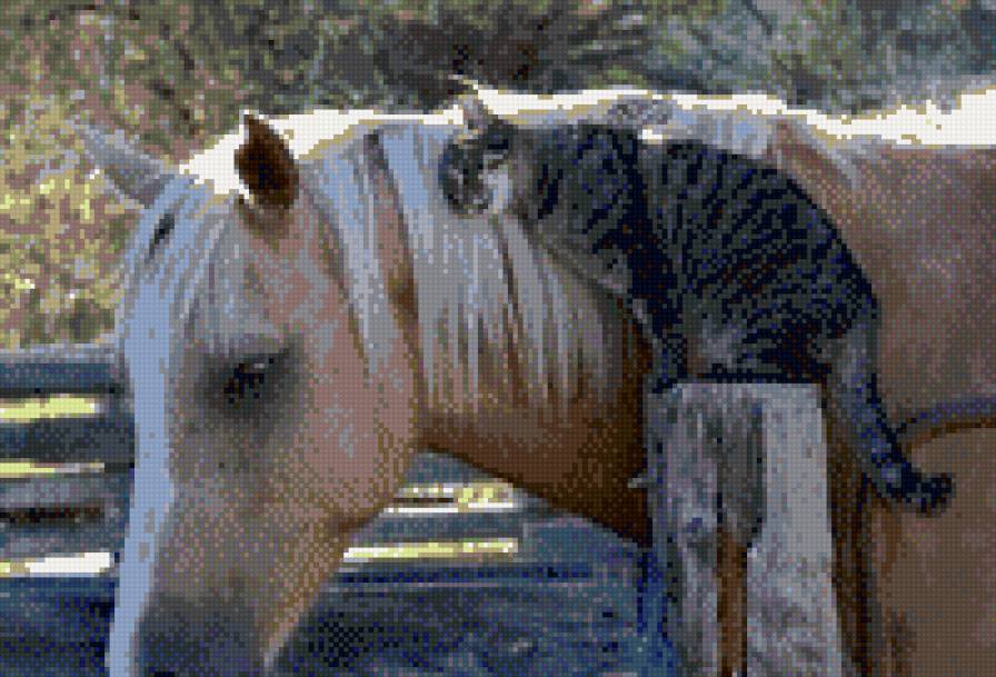 дружба - лошади - предпросмотр