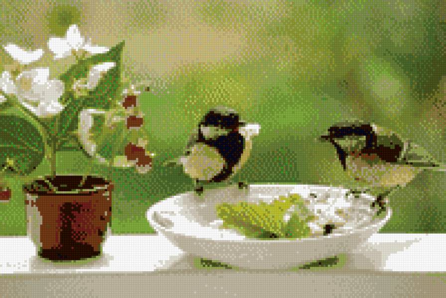 синички - птицы - предпросмотр