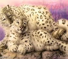 Схема вышивки «54231»