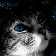 Схема вышивки «котик»