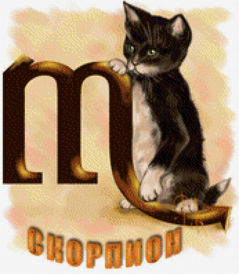 "ГОРОСКОП-Скоррпион" - кошки, гороскоп, котики - предпросмотр