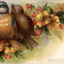 Схема вышивки «Two Birds on a Sprig of Flowers»