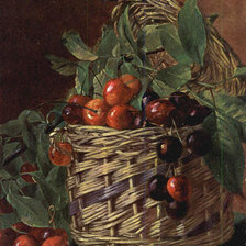 Basket of Cherries