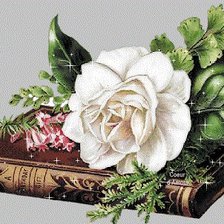 Схема вышивки «роза»