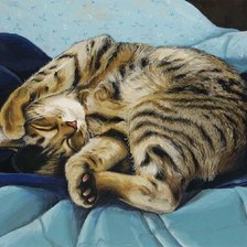 Схема вышивки «Кошечка»