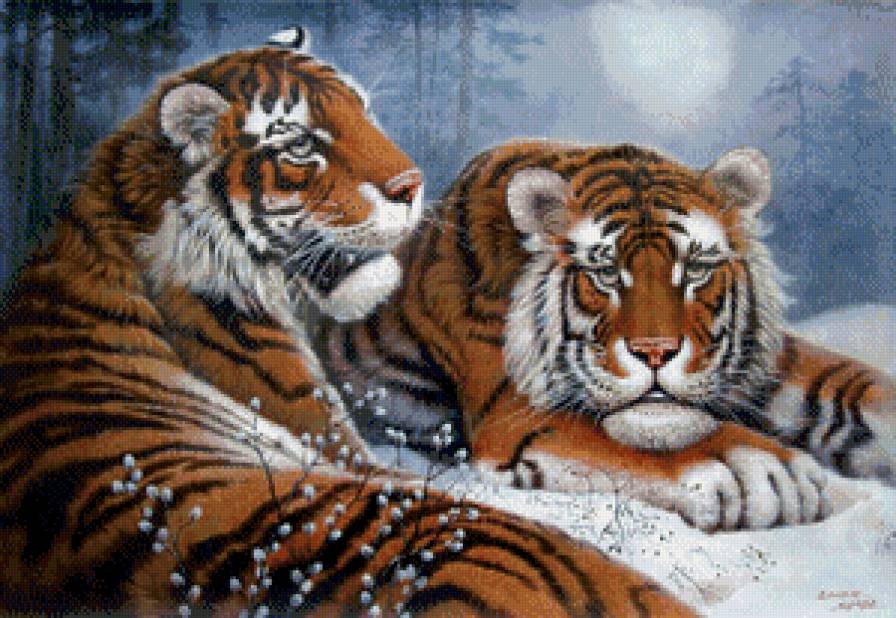 Тигры в зимнем лесу - zhivotnie - предпросмотр