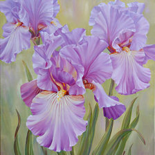 Схема вышивки «Ирисы»
