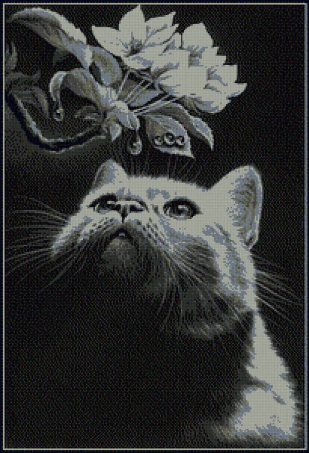 ожидание 2 - кот, капля, цветок, монохром - предпросмотр