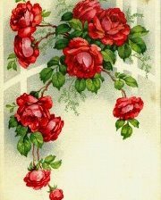 Схема вышивки «Розы»