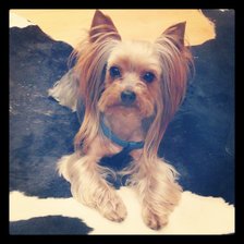 Схема вышивки «№461551»