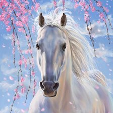 Схема вышивки «очарование»