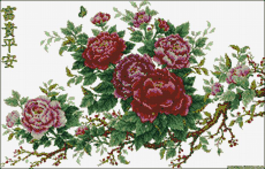 восток - предпросмотр