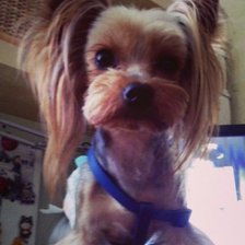 Схема вышивки «№461614»