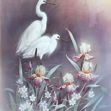 Схема вышивки «цапли-2»