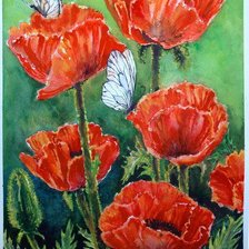 Схема вышивки «Маки»