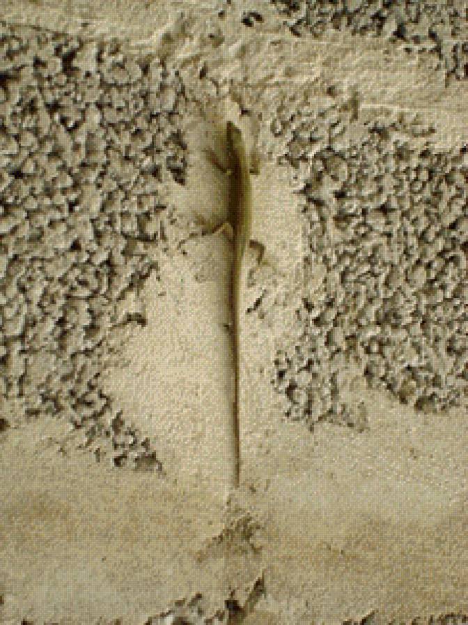 ящерка - предпросмотр