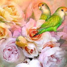 Схема вышивки «Попугайчики»