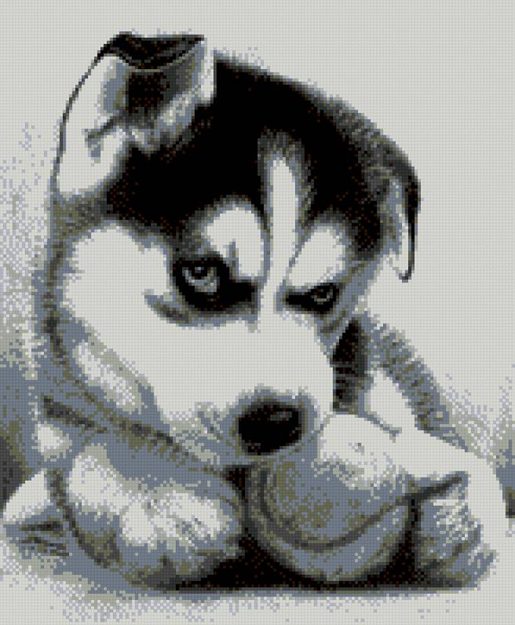 Собачка - предпросмотр