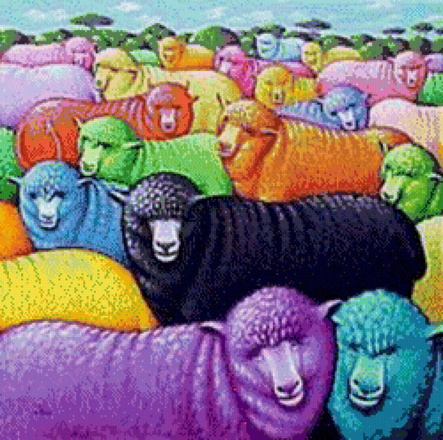 Цветные овцы - овцы - предпросмотр