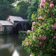 водяная мельница