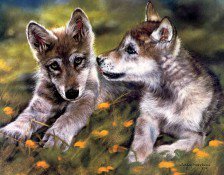 Схема вышивки «0152»