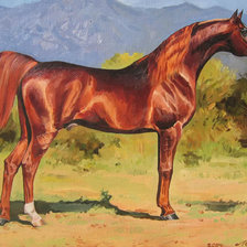 Схема вышивки «0154»