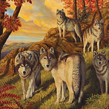 Схема вышивки «№462162»