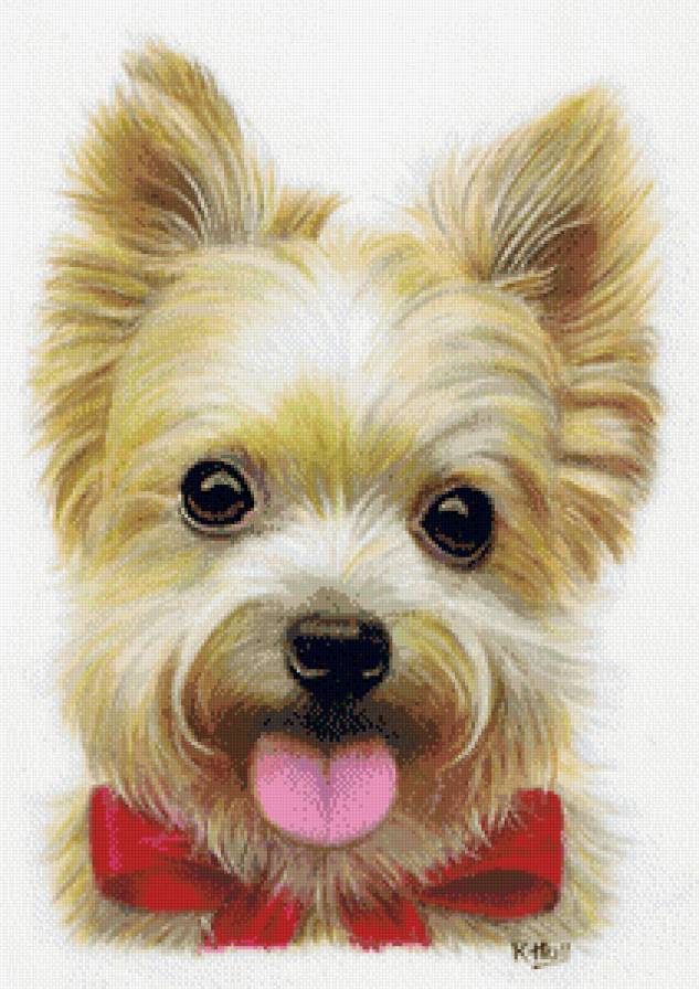 милые зжверюшки - мир животных - предпросмотр