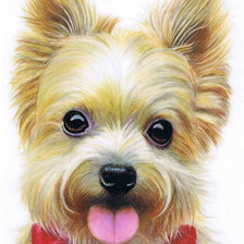 милые зжверюшки