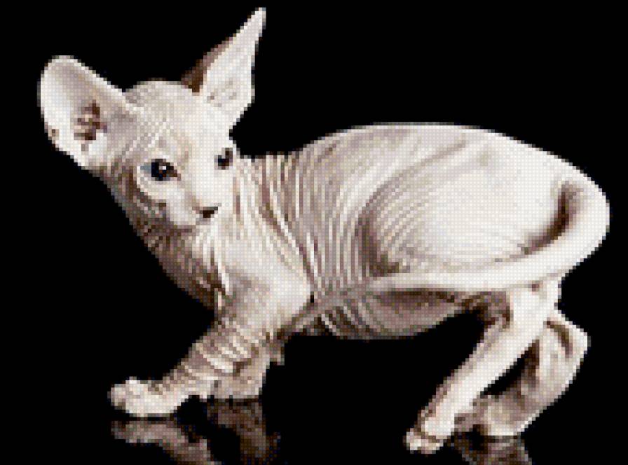 сфинкс - предпросмотр