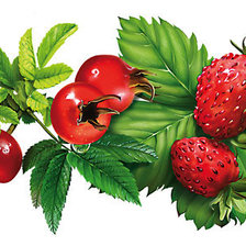 Схема вышивки «Ягода»