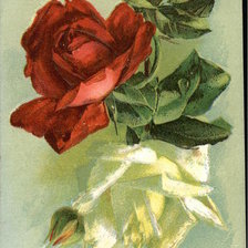 Схема вышивки «Happiness be yours»