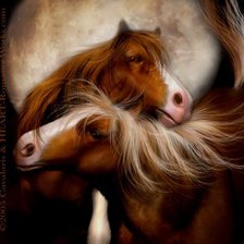 Схема вышивки «Серия "Кони"»